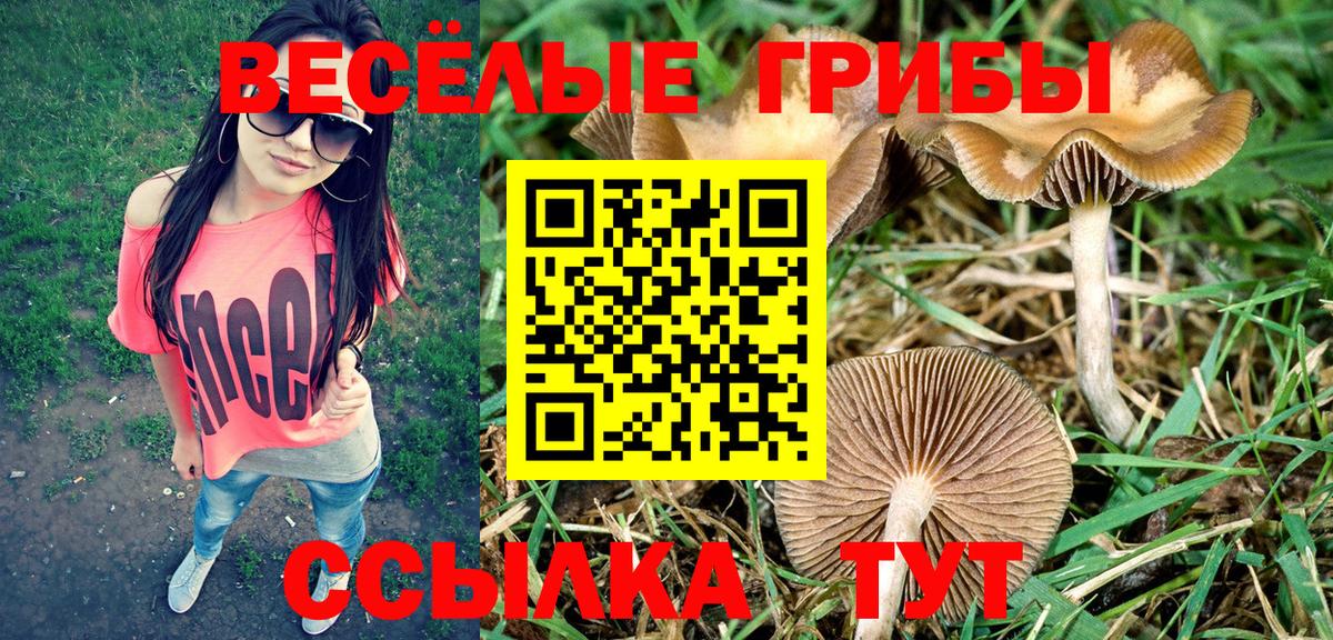 Псилоцибиновые грибы мицелий Кизляр